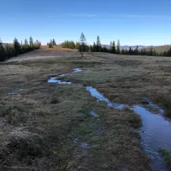 Żywiec Landscape Park - Żywiec (Zywiec)