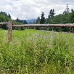 Żywiec Landscape Park - Żywiec (Zywiec)