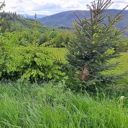 Żywiec Landscape Park - Żywiec (Zywiec)