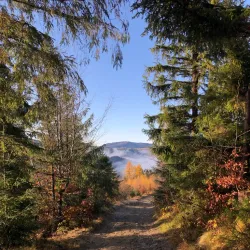 Żywiec Landscape Park - Żywiec (Zywiec)