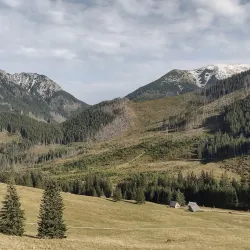 Chocholowska Valley (Dolina Chochołowska) - Zakopane