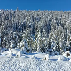 Chocholowska Valley (Dolina Chochołowska) - Zakopane