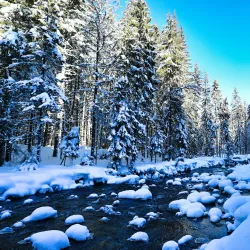 Chocholowska Valley (Dolina Chochołowska) - Zakopane