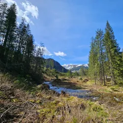 Chocholowska Valley (Dolina Chochołowska) - Zakopane