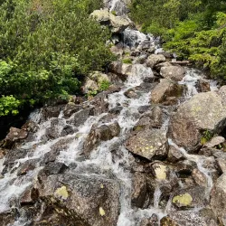 Morskie Oko - Zakopane