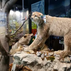 Tatra Museum (Muzeum Tatrzańskie) - Zakopane