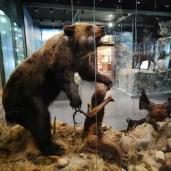 Tatra Museum (Muzeum Tatrzańskie) - Zakopane