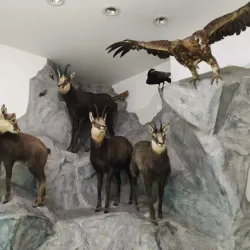 Tatra Museum (Muzeum Tatrzańskie) - Zakopane