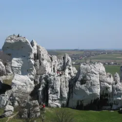Kraków-Częstochowa Upland (Jura Krakowsko-Częstochowska) - Zawiercie