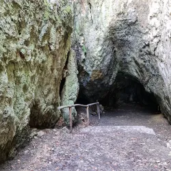 Kraków-Częstochowa Upland (Jura Krakowsko-Częstochowska) - Zawiercie