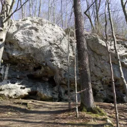 Kraków-Częstochowa Upland (Jura Krakowsko-Częstochowska) - Zawiercie