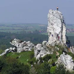 Kraków-Częstochowa Upland (Jura Krakowsko-Częstochowska) - Zawiercie