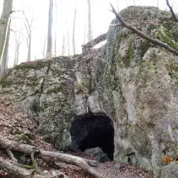Kraków-Częstochowa Upland (Jura Krakowsko-Częstochowska) - Zawiercie
