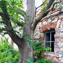 Palace of the Kurnatowski Family - Zawiercie