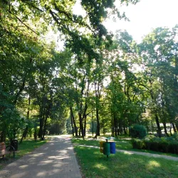 Park Miejski w Zawierciu (City Park) - Zawiercie