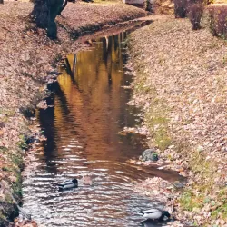 Park Miejski w Zawierciu (City Park) - Zawiercie