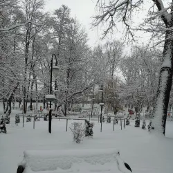 Park Miejski w Zawierciu (City Park) - Zawiercie