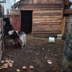 St. Stanislaus Church - Zawiercie