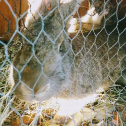 St. Stanislaus Church - Zawiercie