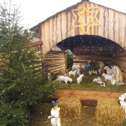 St. Stanislaus Church - Zawiercie