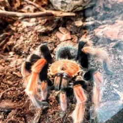 Zawiercie Cultural Center - Zawiercie