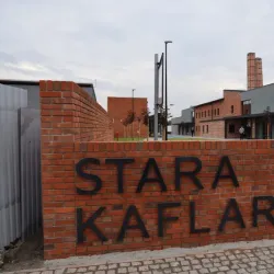 Community Cultural Events - Zduny