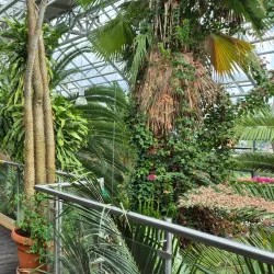 Palm House Amphitheater - Zielona Gora