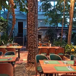 Palmiarnia Zielonogórska (Zielona Gora Palm House) - Zielona Gora