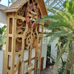 Palmiarnia Zielonogórska (Zielona Gora Palm House) - Zielona Gora