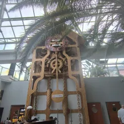 Palmiarnia Zielonogórska (Zielona Gora Palm House) - Zielona Gora