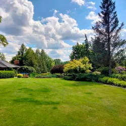 Winne Wzgórze (Wine Hill) - Zielona Gora