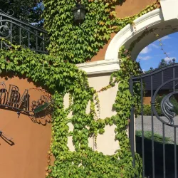 Winne Wzgórze (Wine Hill) - Zielona Gora