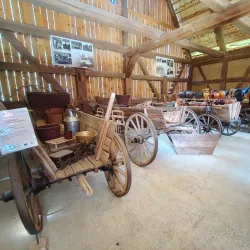 Zielona Gora City Museum - Zielona Gora