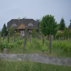 Zielona Gora Vineyards and Wine Cellars - Zielona Gora