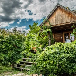 Zielona Gora Vineyards and Wine Cellars - Zielona Gora