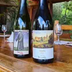 Zielona Gora Vineyards and Wine Cellars - Zielona Gora