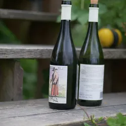 Zielona Gora Vineyards and Wine Cellars - Zielona Gora