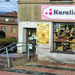 Local Craft Shops and Markets - Zory (Źory)