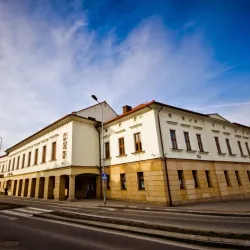 Zory Cultural Center (Miejski Ośrodek Kultury) - Zory (Źory)