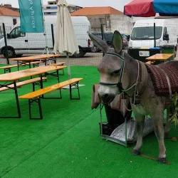 Casa do Campino - Abrantes