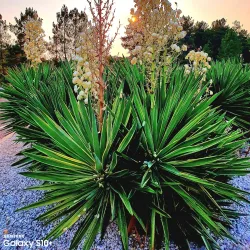 Parque da Cidade de Abrantes - Abrantes