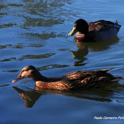 Parque da Cidade de Abrantes - Abrantes