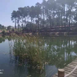 Parque da Cidade de Abrantes - Abrantes