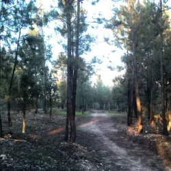 Parque da Cidade de Abrantes - Abrantes