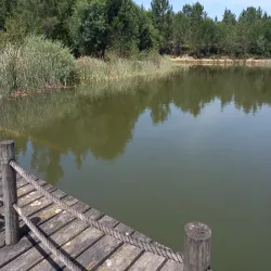 Parque da Cidade de Abrantes - Abrantes