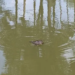 Parque da Cidade de Abrantes - Abrantes