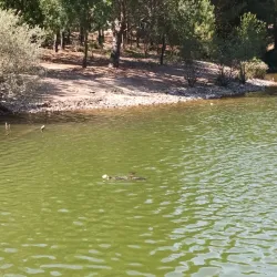 Parque da Cidade de Abrantes - Abrantes