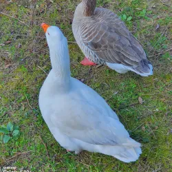 Parque da Cidade de Abrantes - Abrantes
