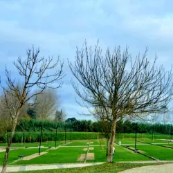 Tagus River Walks - Abrantes