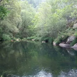 Rio Caima - Albergaria-A-Velha